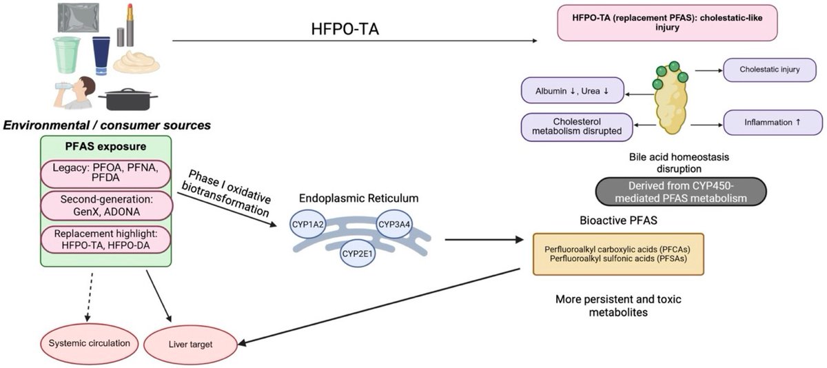 🔬 RicardoMontes tweet media