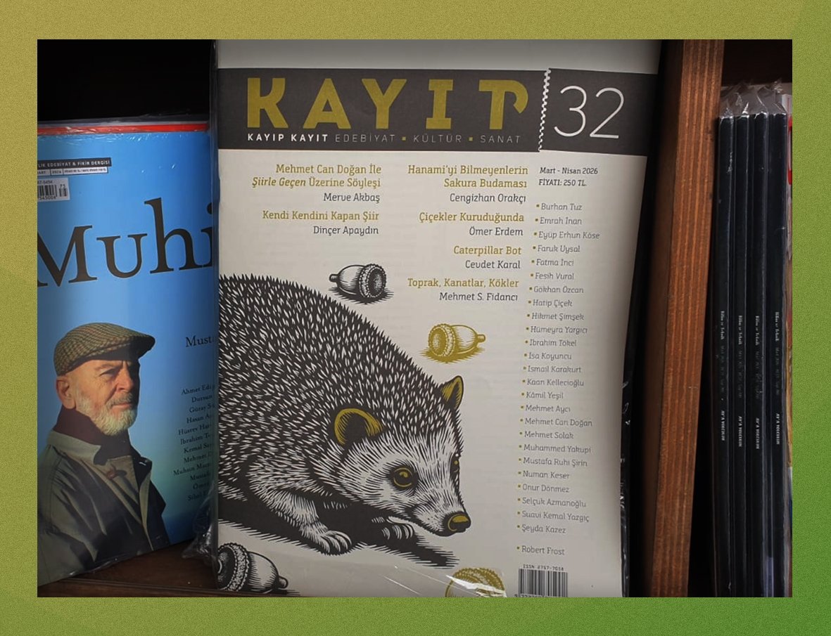 Kayıp Kayıt tweet media