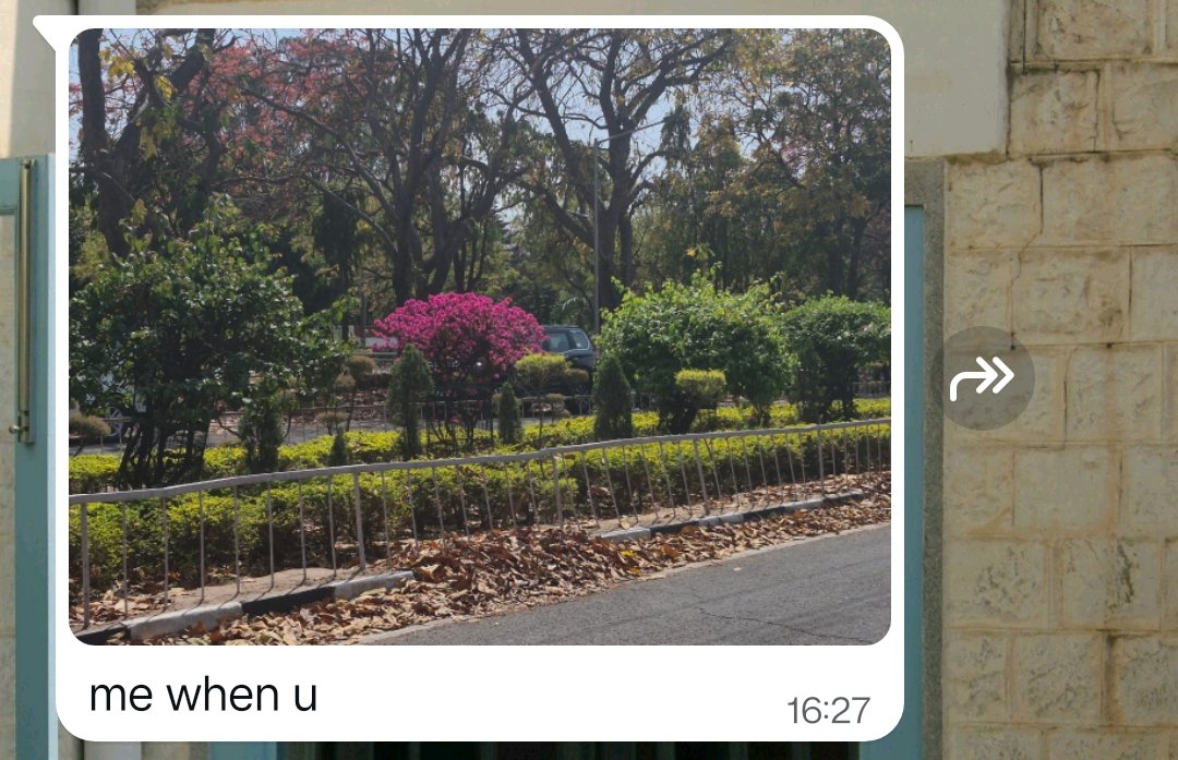 mehbooba tweet media