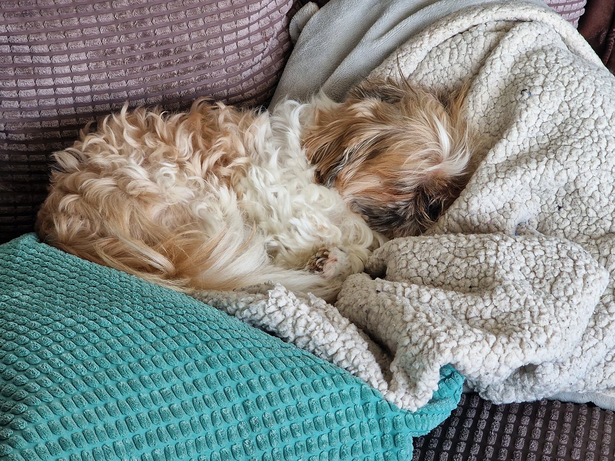 Mark Narrations tweet media