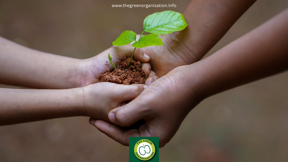 The Green Org tweet media