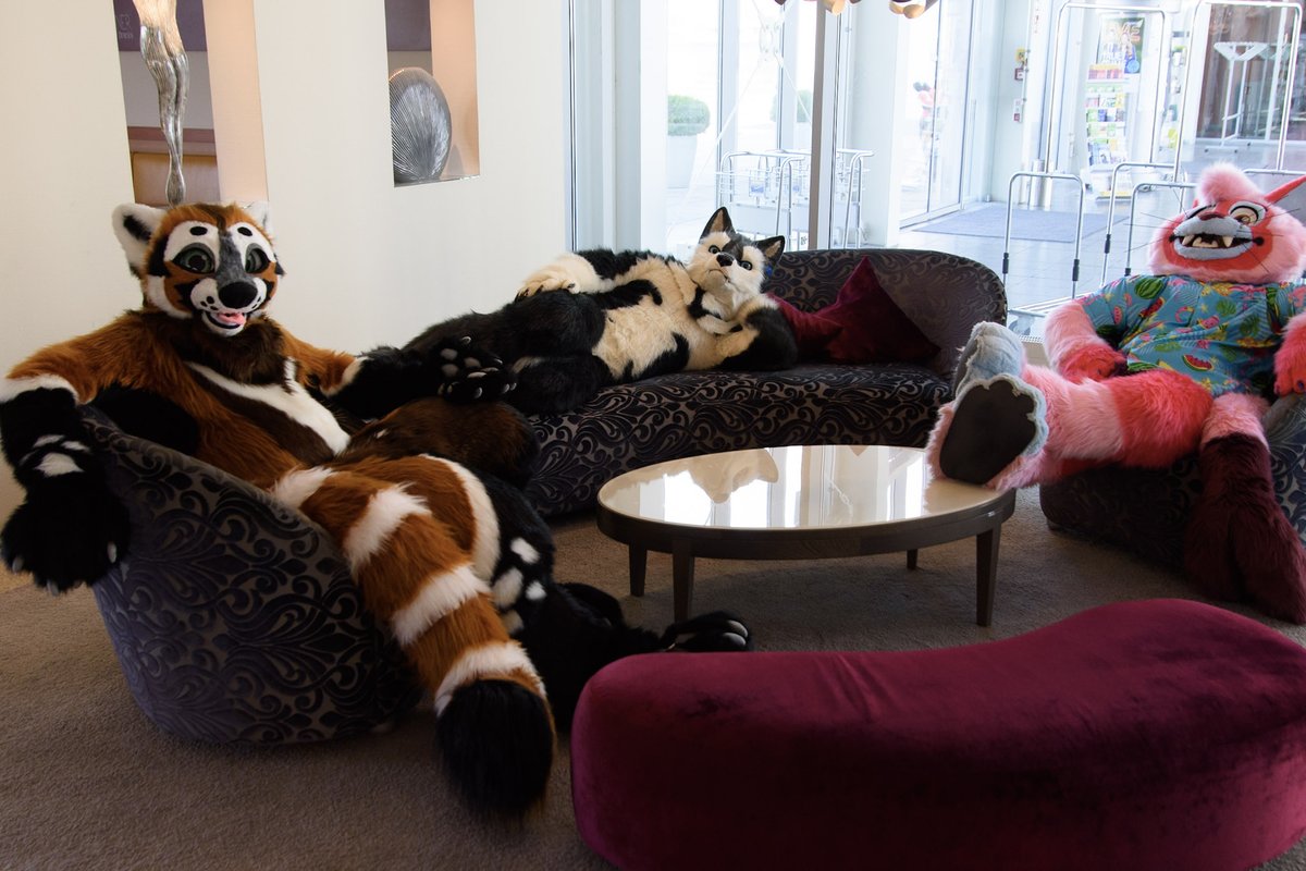 Freunde auf 2 Pfoten e. V. tweet media