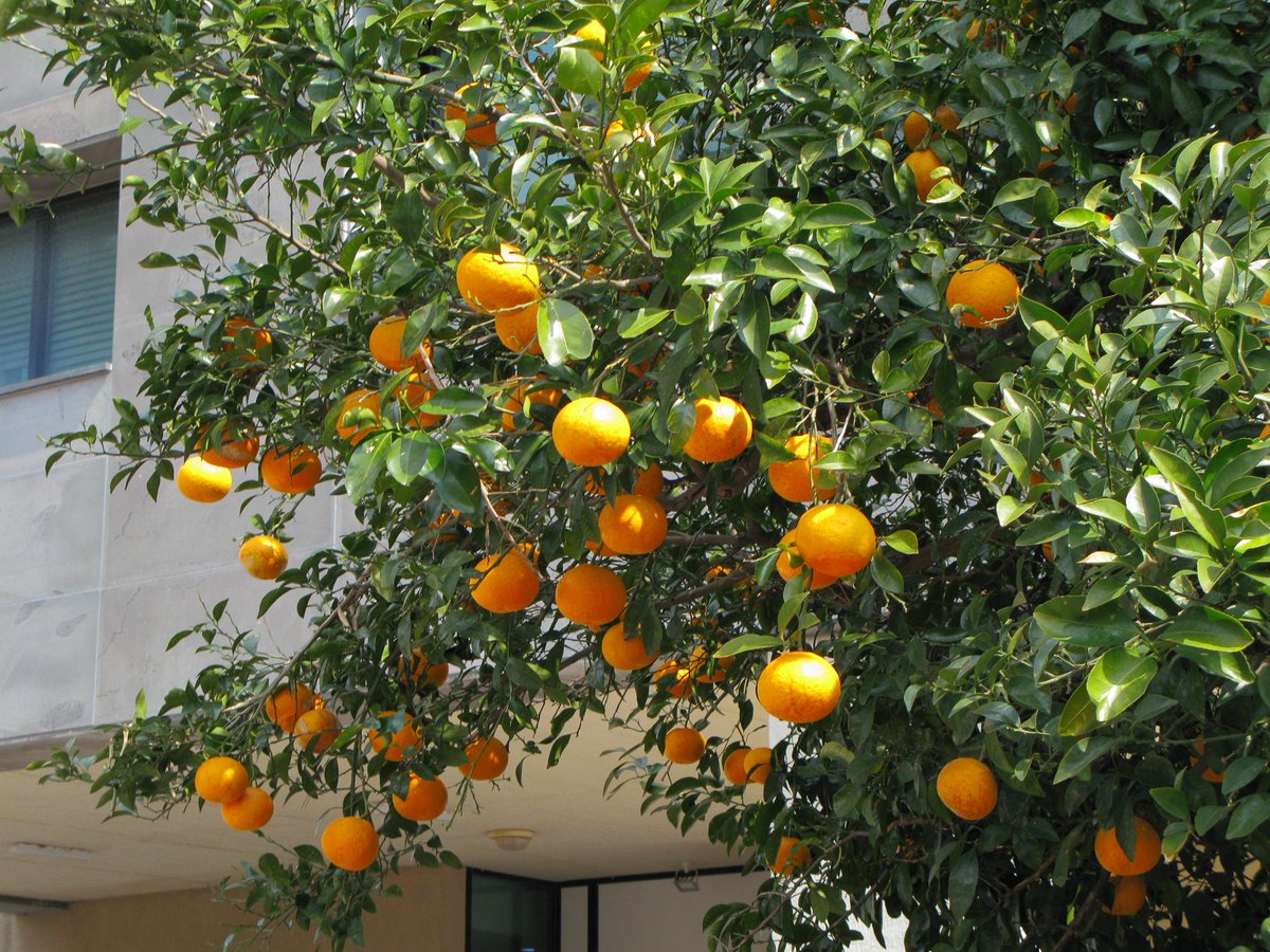 뀰🍊 tweet media