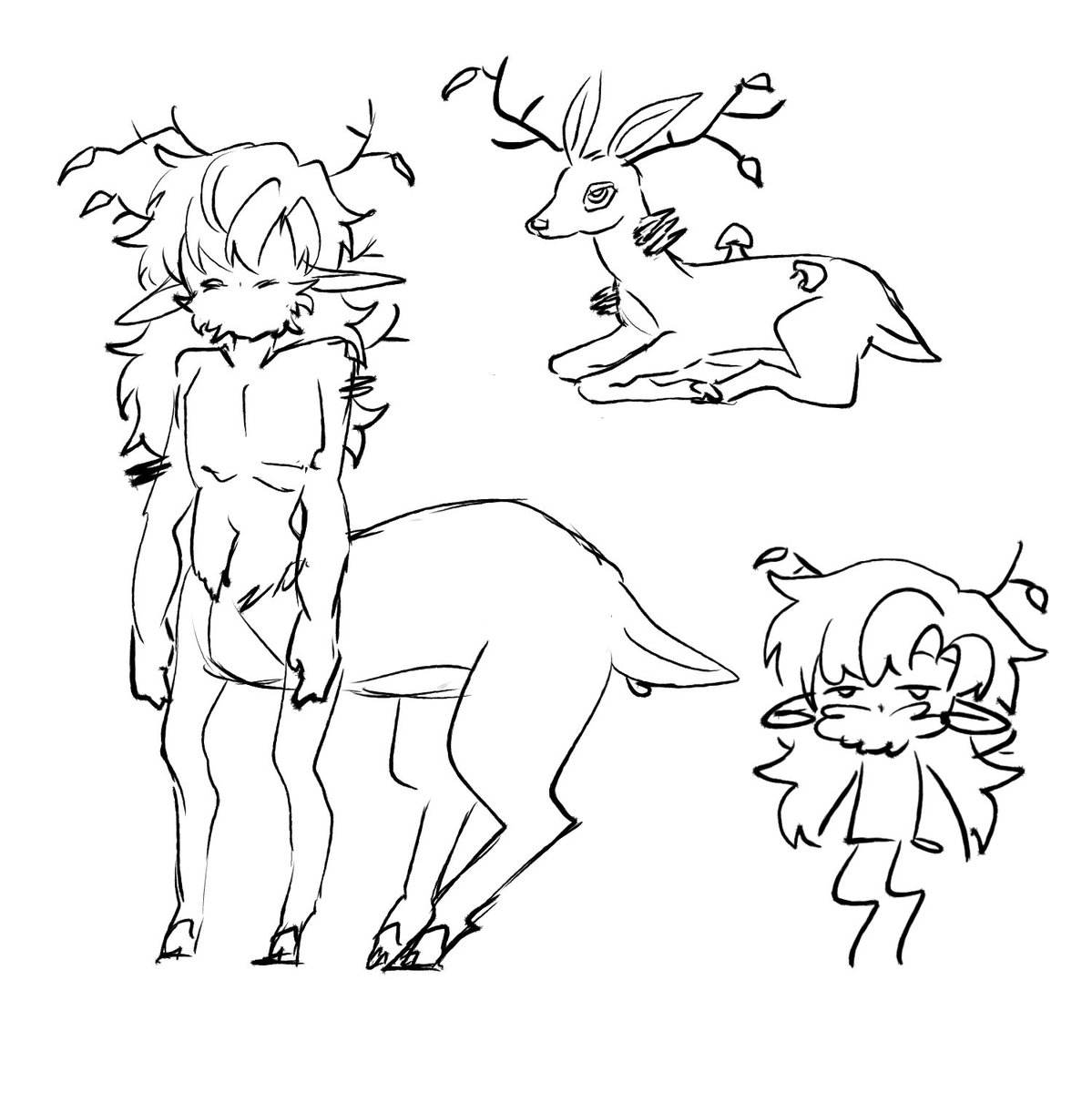 샨 Shan tweet media