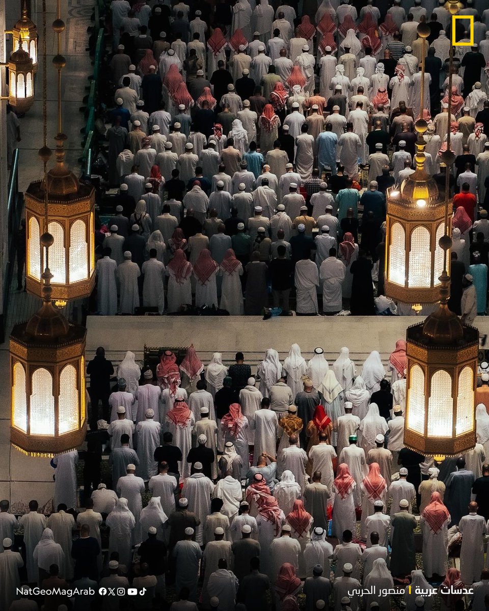 NatGeoMagArab's tweet photo. #عدسات_عربية
سكينةٌ تغشى الحرم
الصورة 1 - يجلس هذا الرجل مستمتعًا بتلاوة القرآن في واحدة من ساحات المسجد الحرام
الصورة 2 - يقف ضيوف بيت الله الحرام في صفوف مرصوصة لأداء صلاة التراويح 
عدسة: منصور الحربي من #السعودية @imns77 

شاركنا صورك عبر Yourshot@ngalarabiya.com https://t.co/otqIdpZY7t