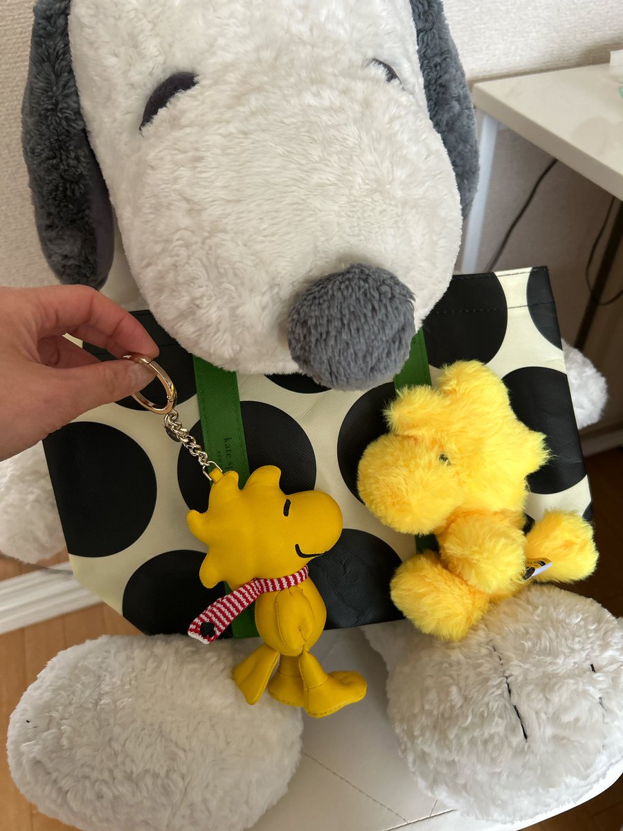 haruna072400's tweet photo. 【拡散希望】

改めて
3月8日19時半過ぎ
丸の内線もしくは埼京線辺りで見かけた人いませんか？
本当に大切なモノなので拾った方いませんか？教えて頂けたら幸いです。

＃スヌーピー
＃ウッドストック
＃チャーム
＃落とし物 https://t.co/4DINDskunL