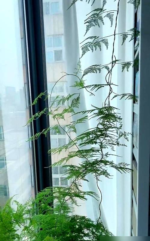 Blent6604932991's tweet image. "Old things tell stories—sort, keep what sparks joy, let go with gratitude. Your space (and soul) will thank you!  #DeclutterWithPurpose #OldStoriesNewSpace"