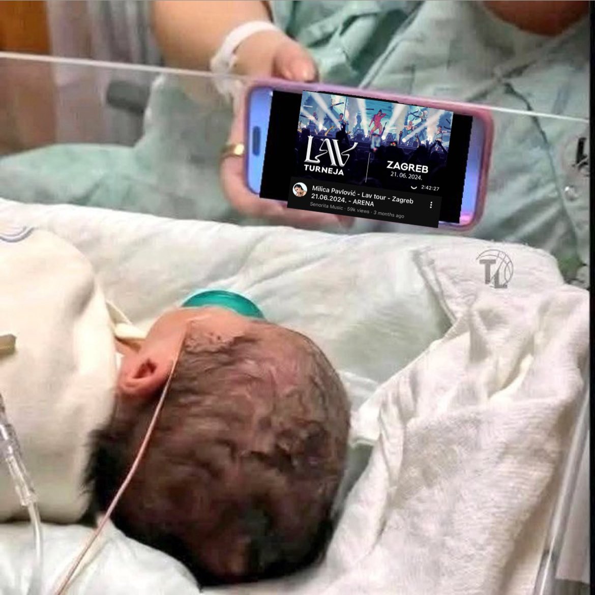 n. shambles tweet media