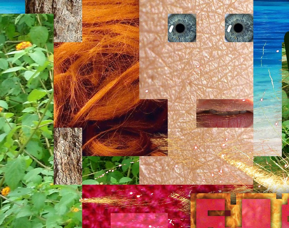 Sos Sosowski tweet media