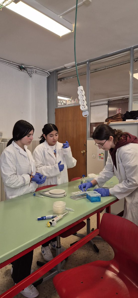 ES MISIÓN POSIBLE tweet media