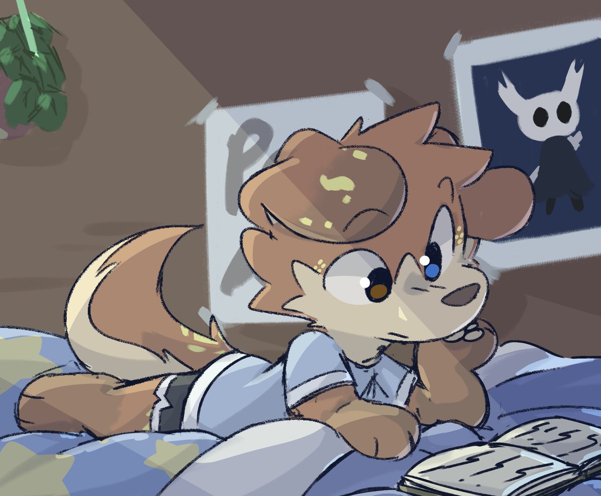 Scoutyy🐾 tweet media