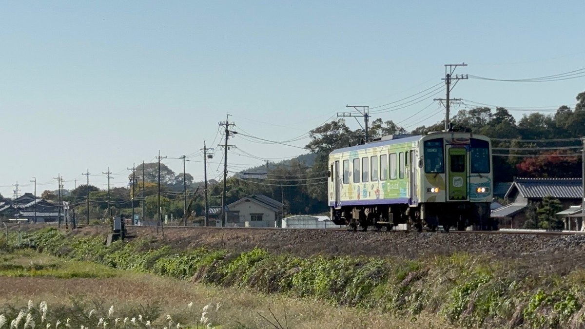 にたまごのせゆっけ(nitamago1122) tweet media