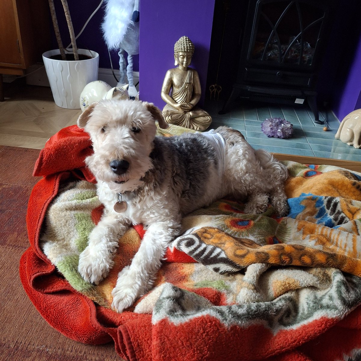 Amanda Giles Author tweet media