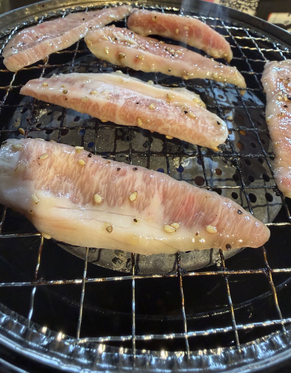 ﾆｸｩ(｢🍖･ω･)｢🍖