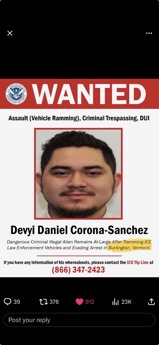 Sashimono 🇺🇸 tweet media