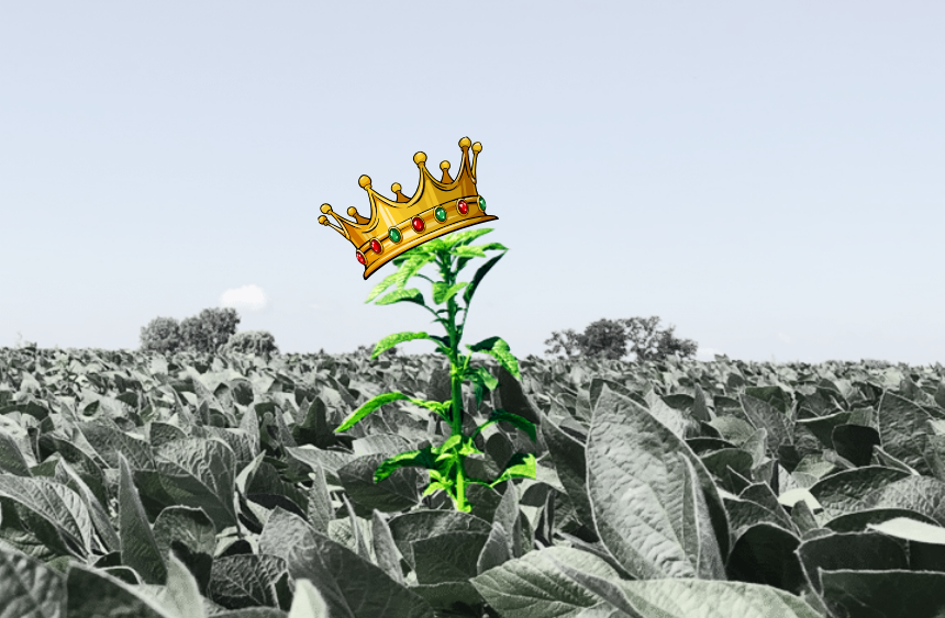 GROW.IWM tweet media