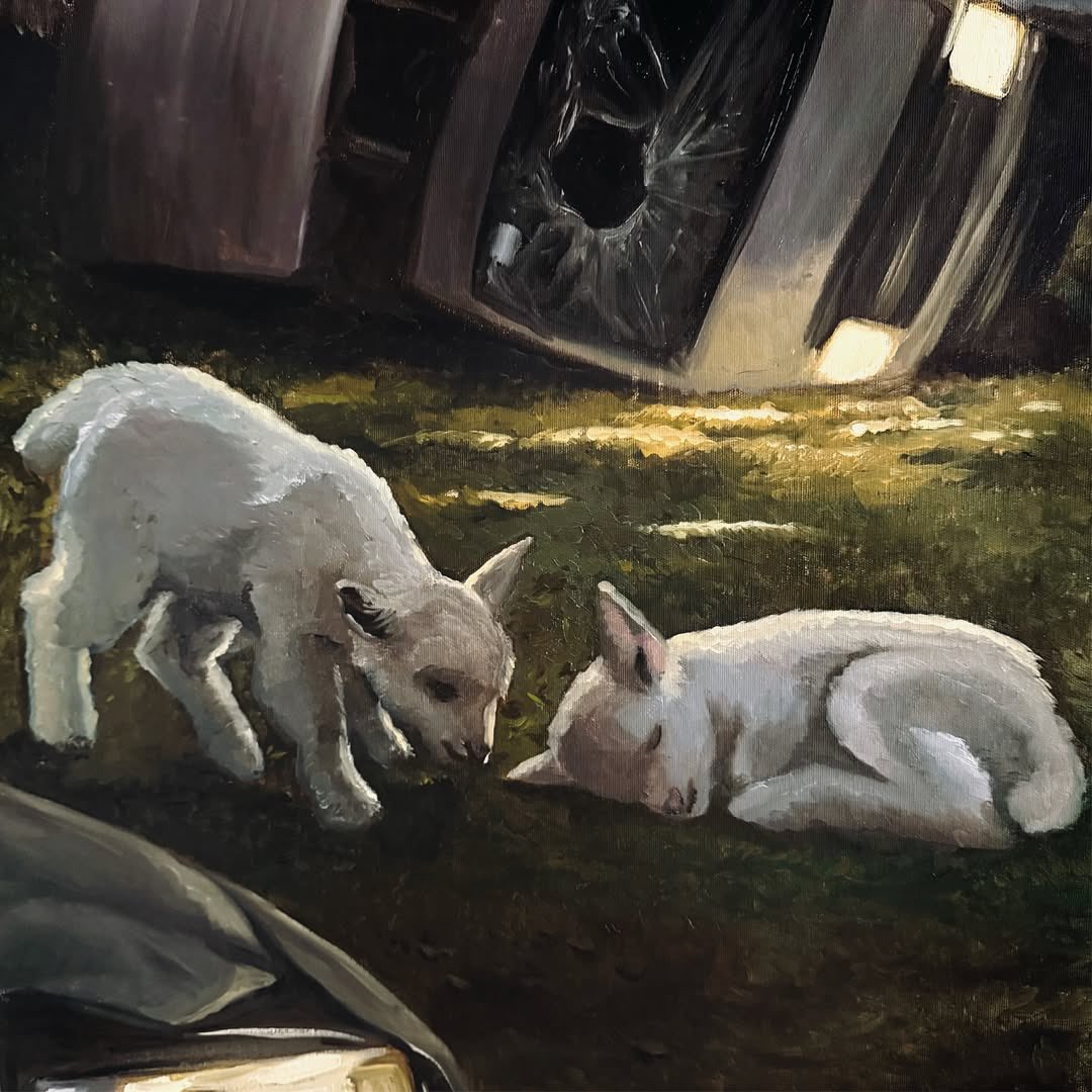 Loud Cave tweet media