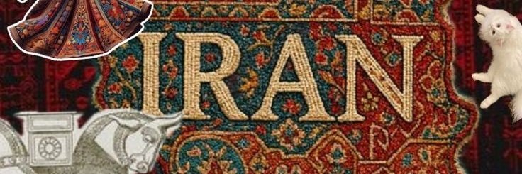 mary bani tweet media