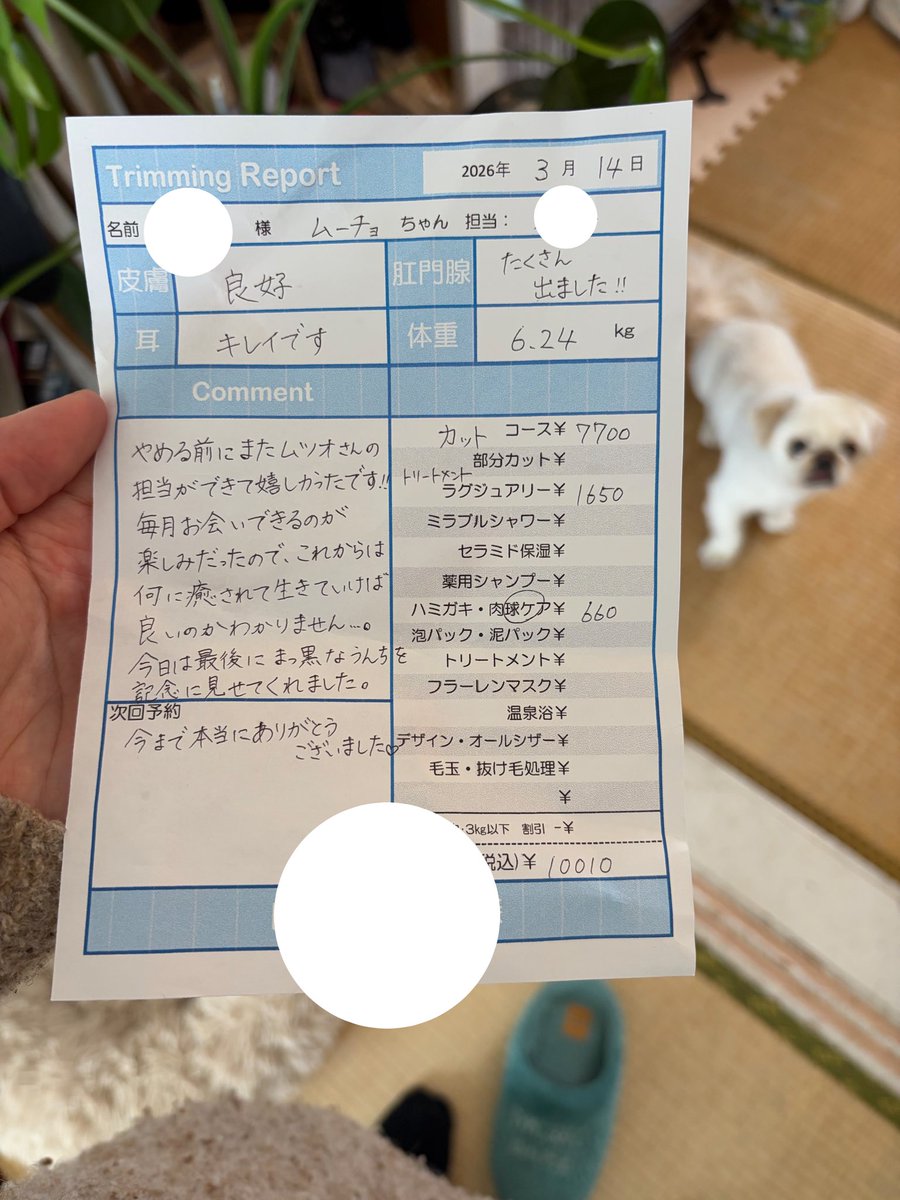 ムーチョの部屋 tweet media