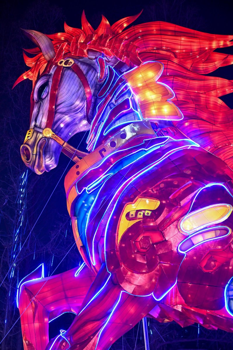 🥳🧨🏮As night descends, Xiaoyaojin Park in Anhui glows with dazzling lanterns. Children dressed in Hanfu wander joyfully through seas of light—every corner filled with Spring Festival cheer and romance.
#HiAnhui #DiscoverAnhui #AnhuiTravel #AnhuiBeauty #AnhuiViews