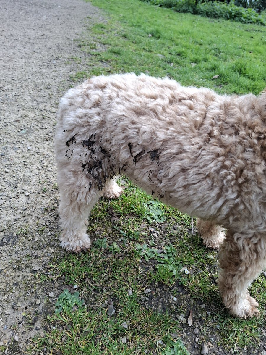 Stephanie 💅👃 tweet media