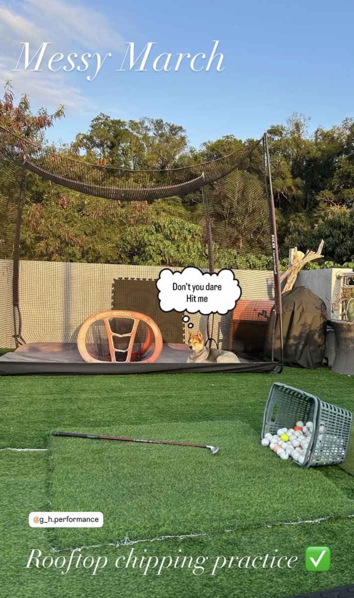 Maja Howard tweet media