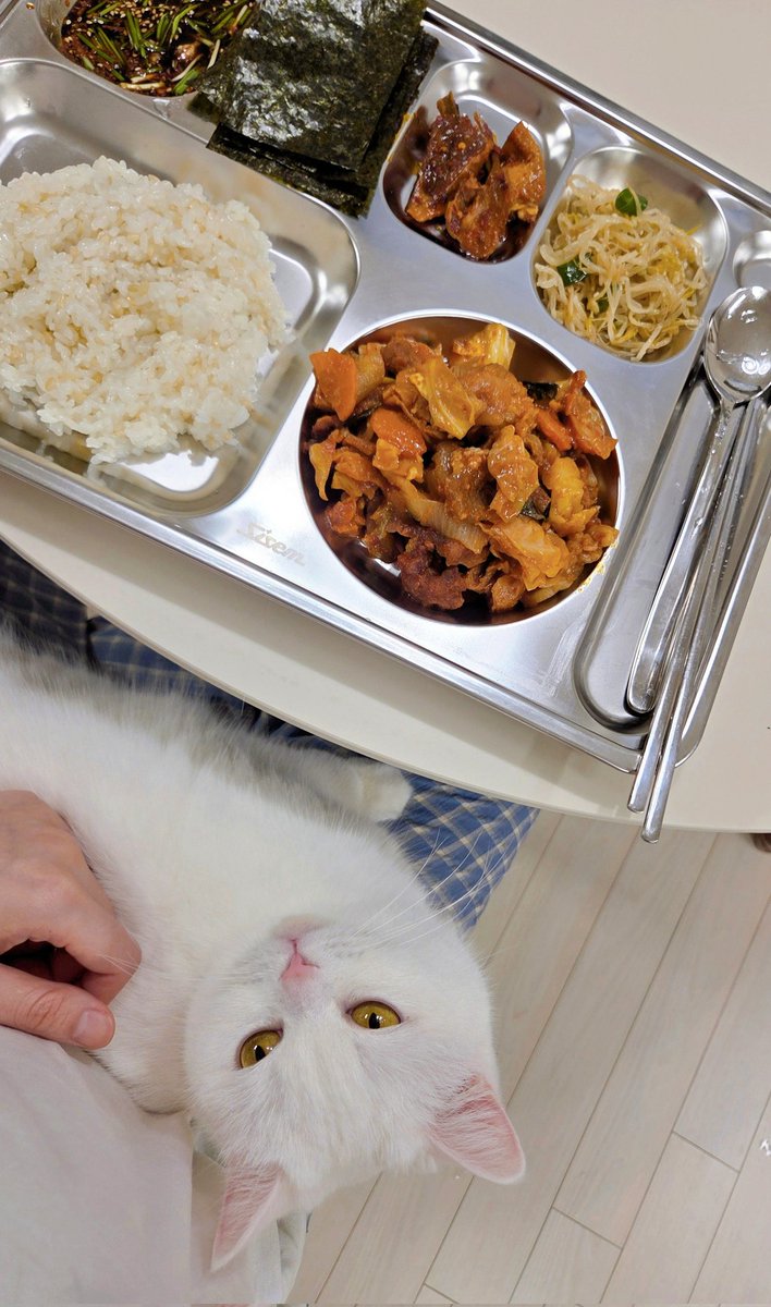 구름호빵이네 ₍˄·͈༝·͈˄₎◞ ̑̑ෆ tweet media