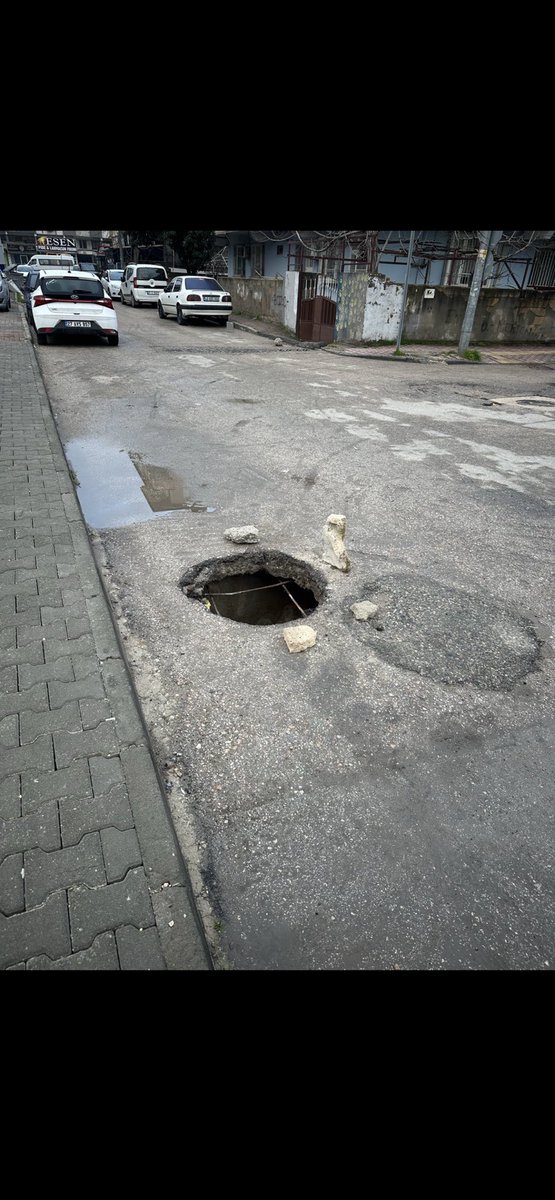 Hasan Şencan tweet media