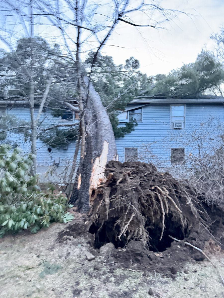 Stanley Forman tweet media