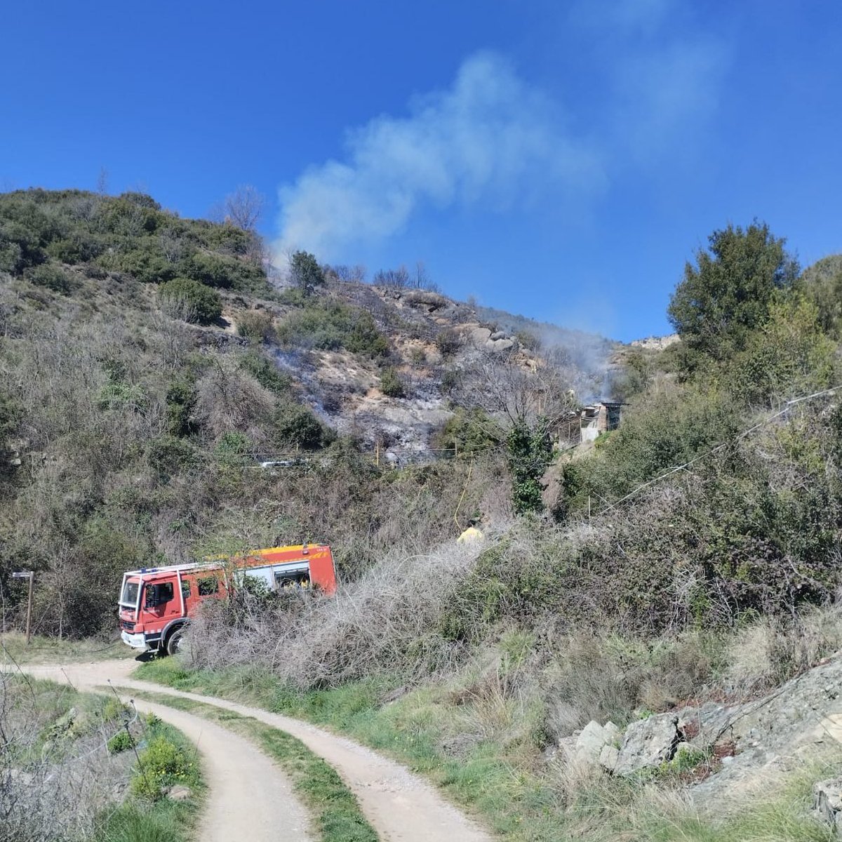 Televisió del Berguedà tweet media