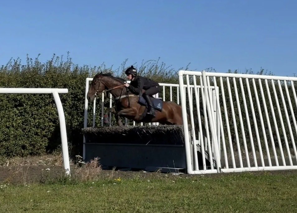 Hayley Burton tweet media