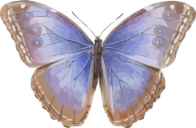 Tomy Burnside tweet media