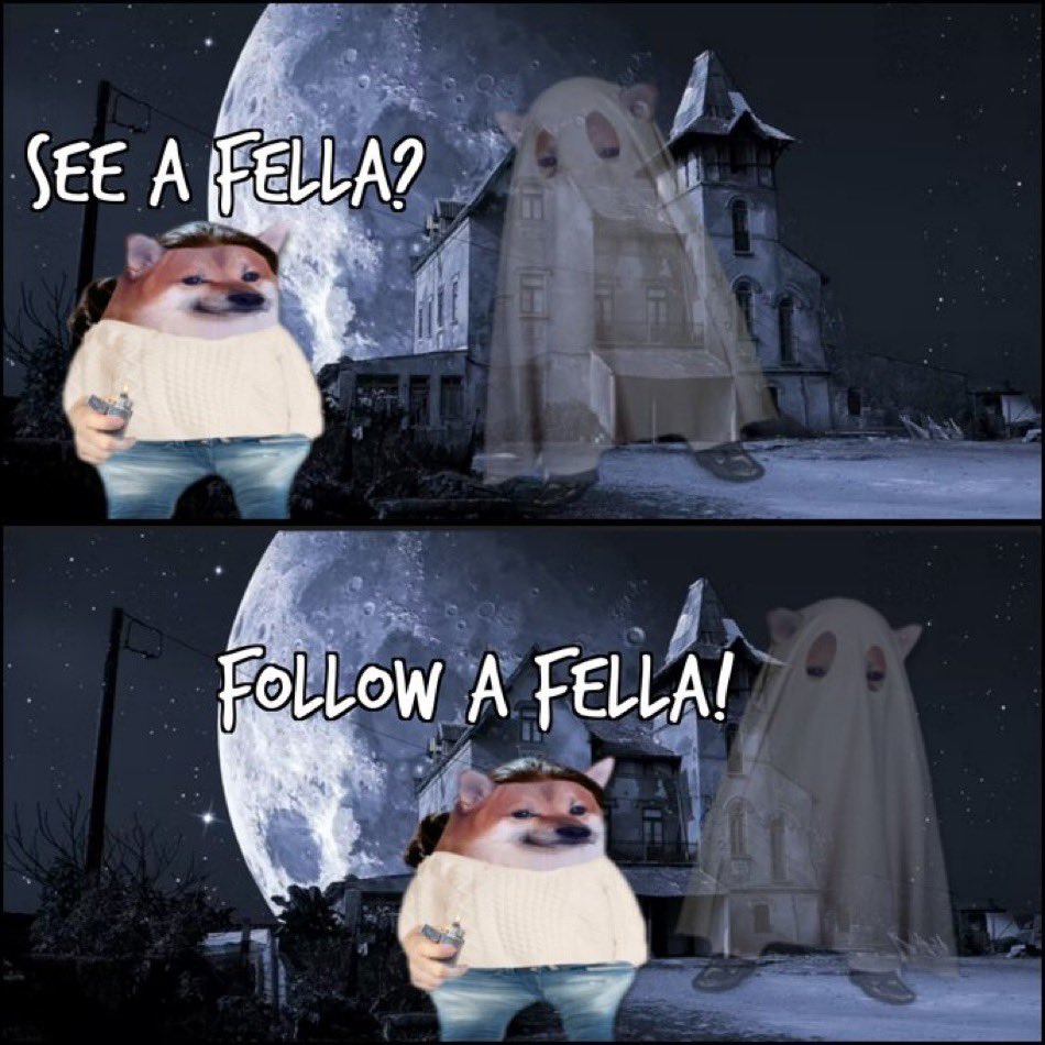 Scout Fella 🇺🇦 tweet media