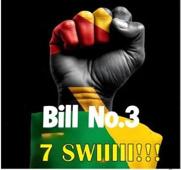 Zanu PF Bulawayo Province Info tweet media