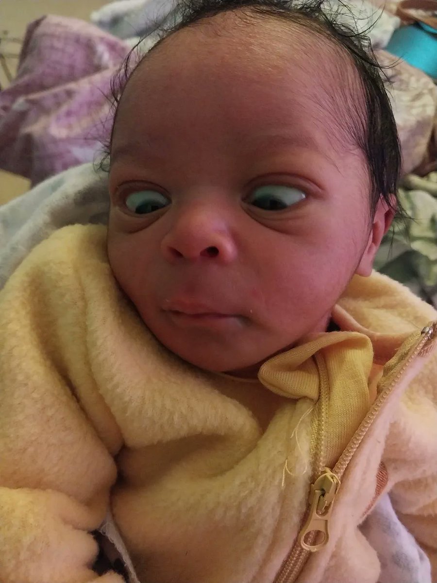 Dr Abdul Hameed 🩺 tweet media