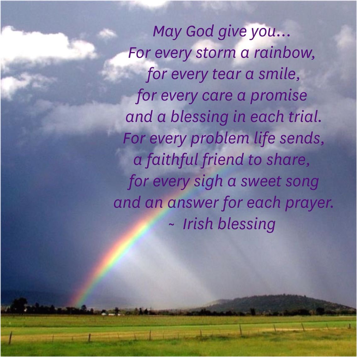 Ginalilvol tweet media