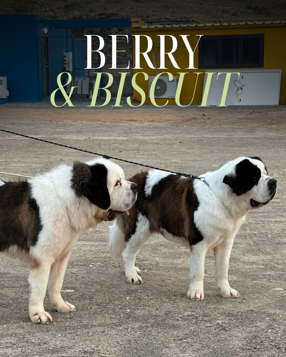 Claire Hopkin 🏴󠁧󠁢󠁷󠁬󠁳󠁿 tweet media