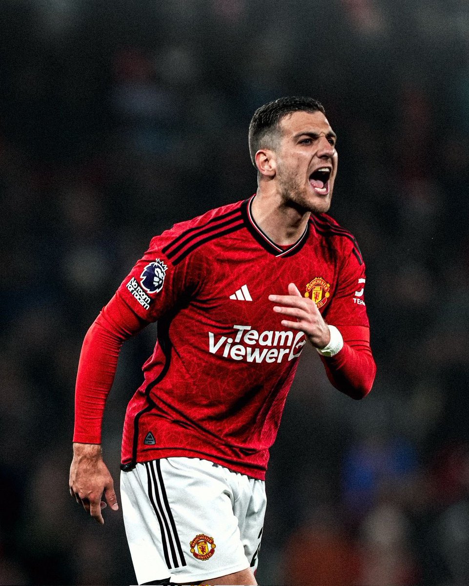 @cantonadevils tweet media