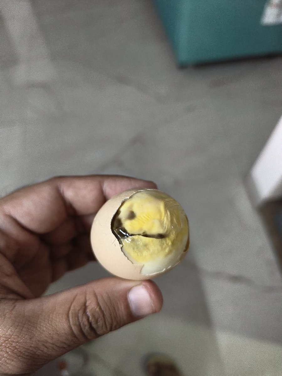 KplusN's tweet photo. @akshayakalpa @ZeptoNow Rotten eggs from a premium brand, not expected after paying 3X the price of regular eggs https://t.co/zinrwxIOMt