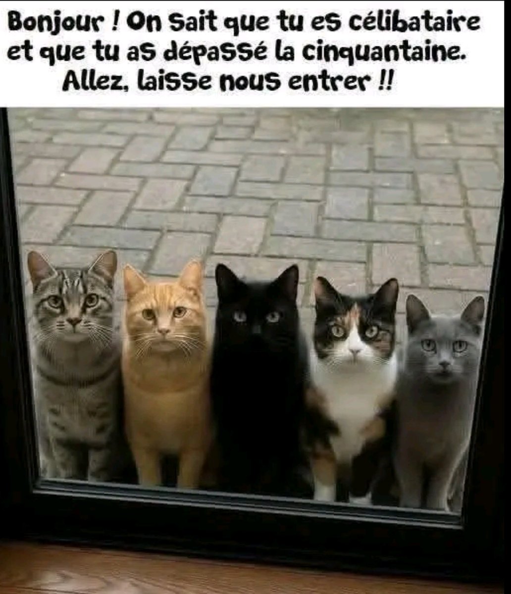 🅶🅾🆁🅺 tweet media