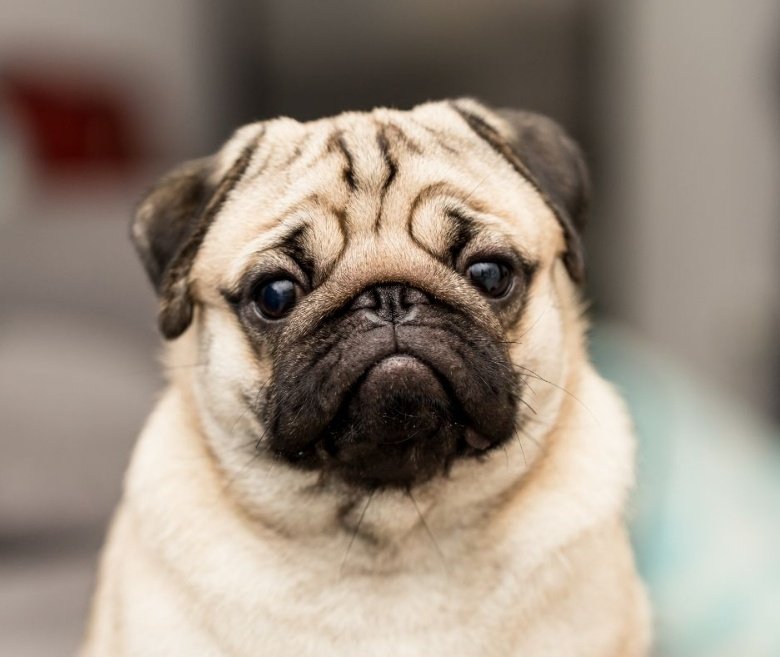 Krishna Maheshwari tweet media