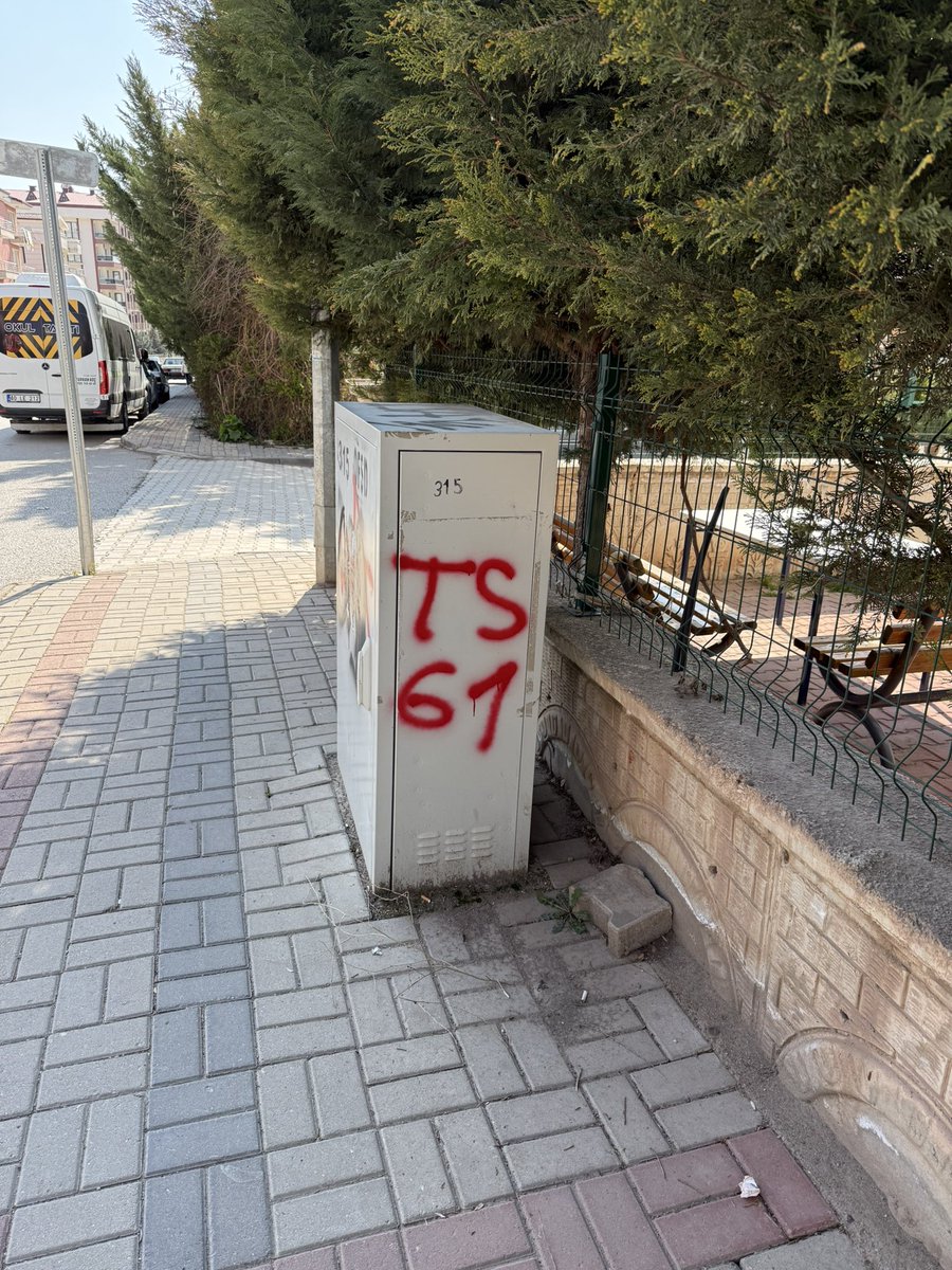 80 yaşımda taylordan yeni albüm bekliyorumdur