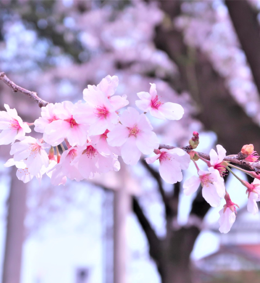 麗Yer's ®️コスプレ撮影イベント tweet media