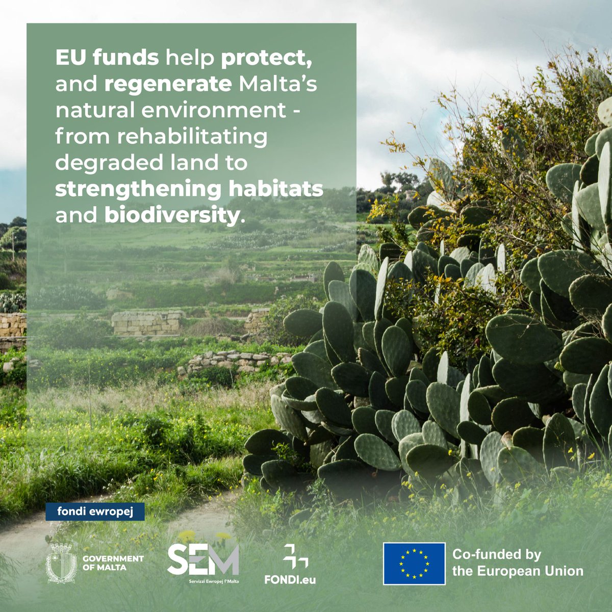 Fondi.eu tweet media