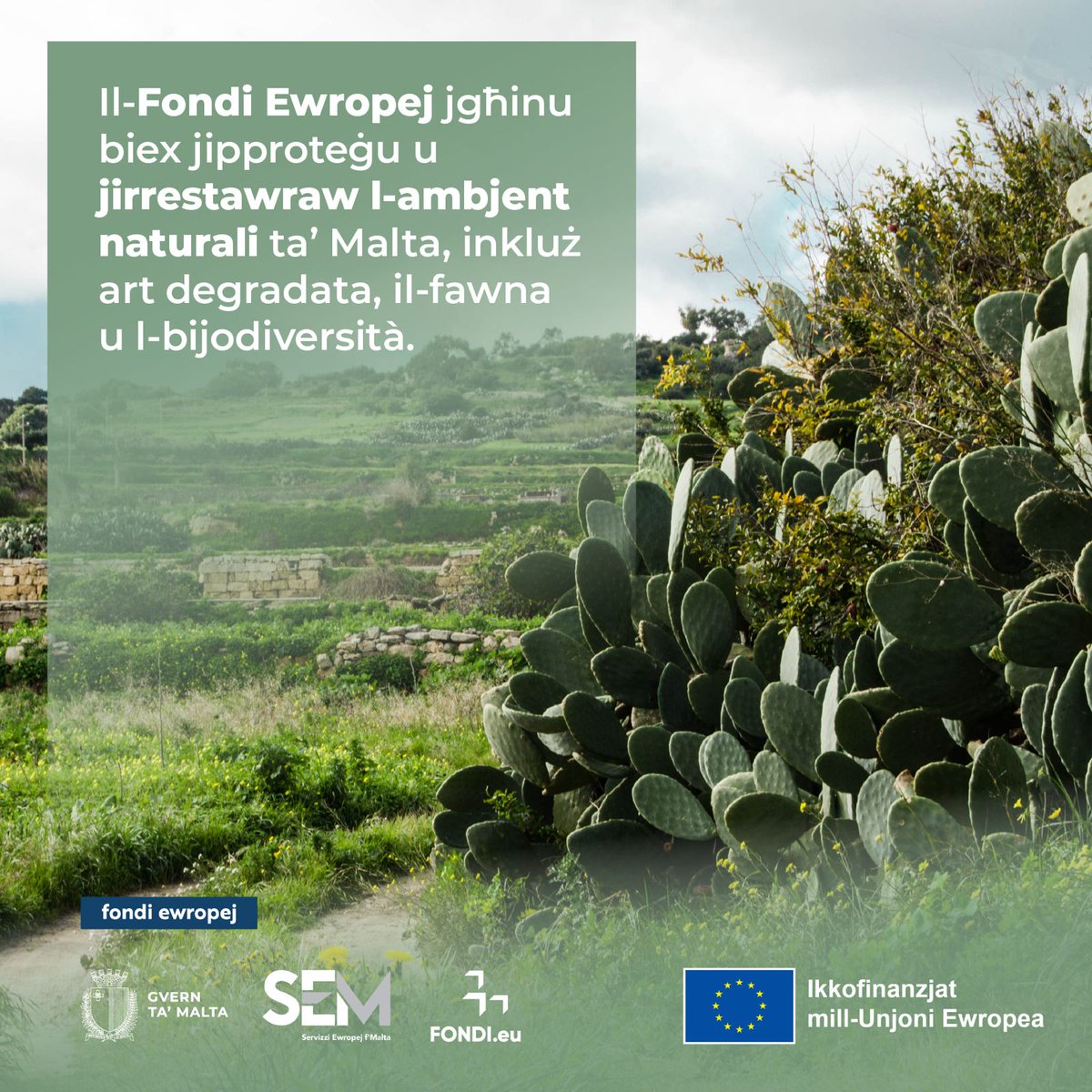 Fondi.eu tweet media