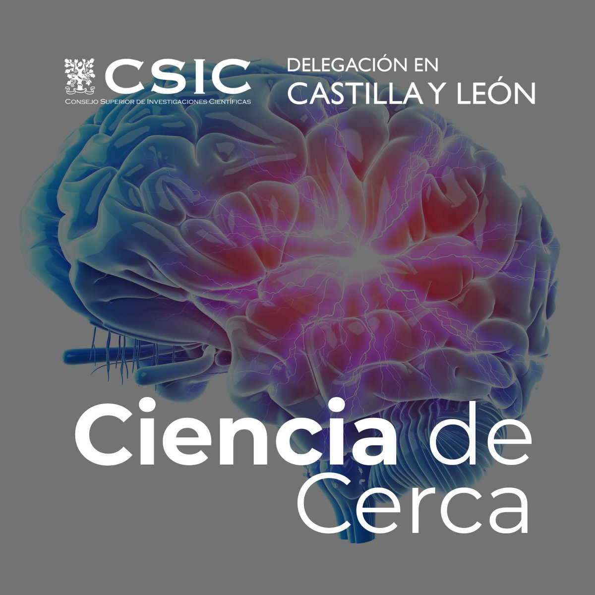 CSIC Castilla y León tweet media