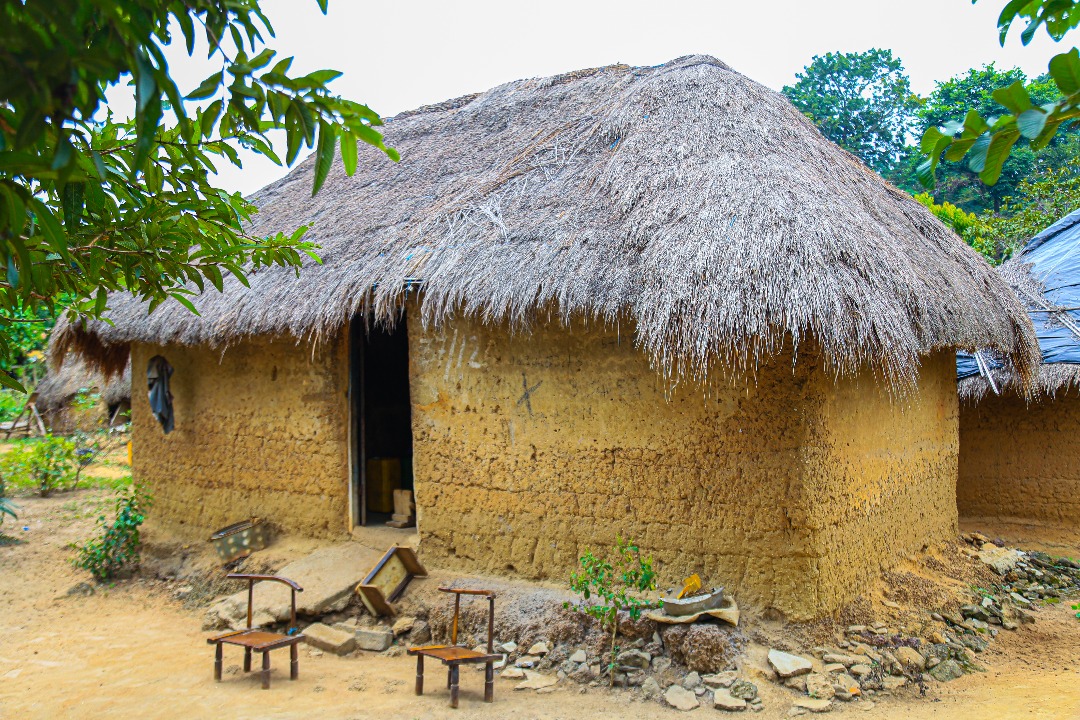 LSHTM RAFT tweet media