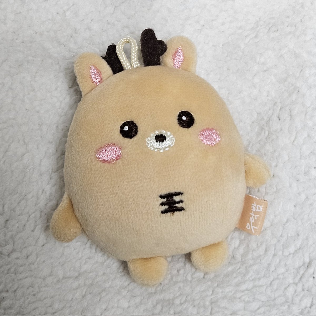 𝐈𝐦𝐩𝐚𝐜𝐓𝐨𝐧 tweet media