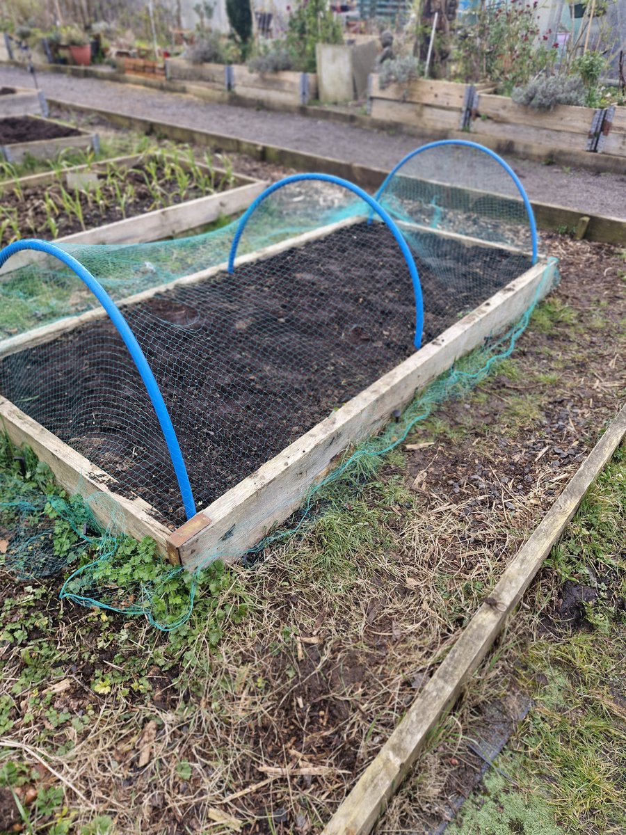 ☘️ Plot to the Plate☘️🍴🍻 tweet media