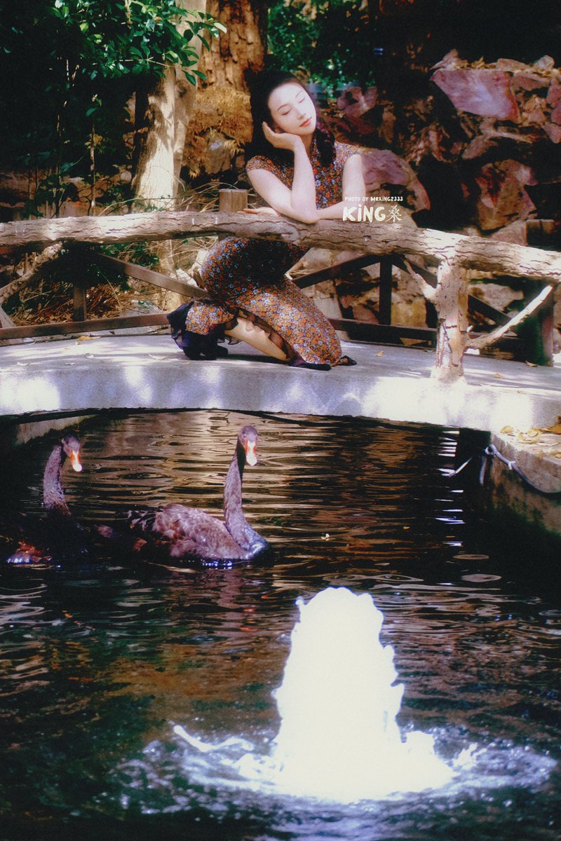 湖畔秘影 tweet media